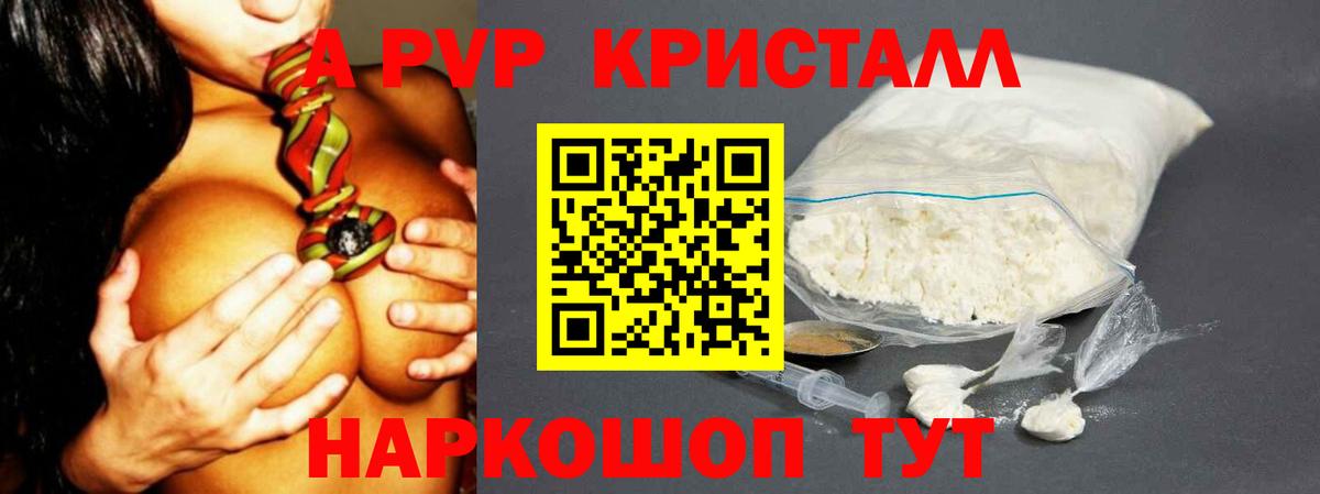 Alpha-PVP СК Гатчина