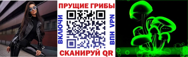 Псилоцибиновые грибы ЛСД  Гатчина 