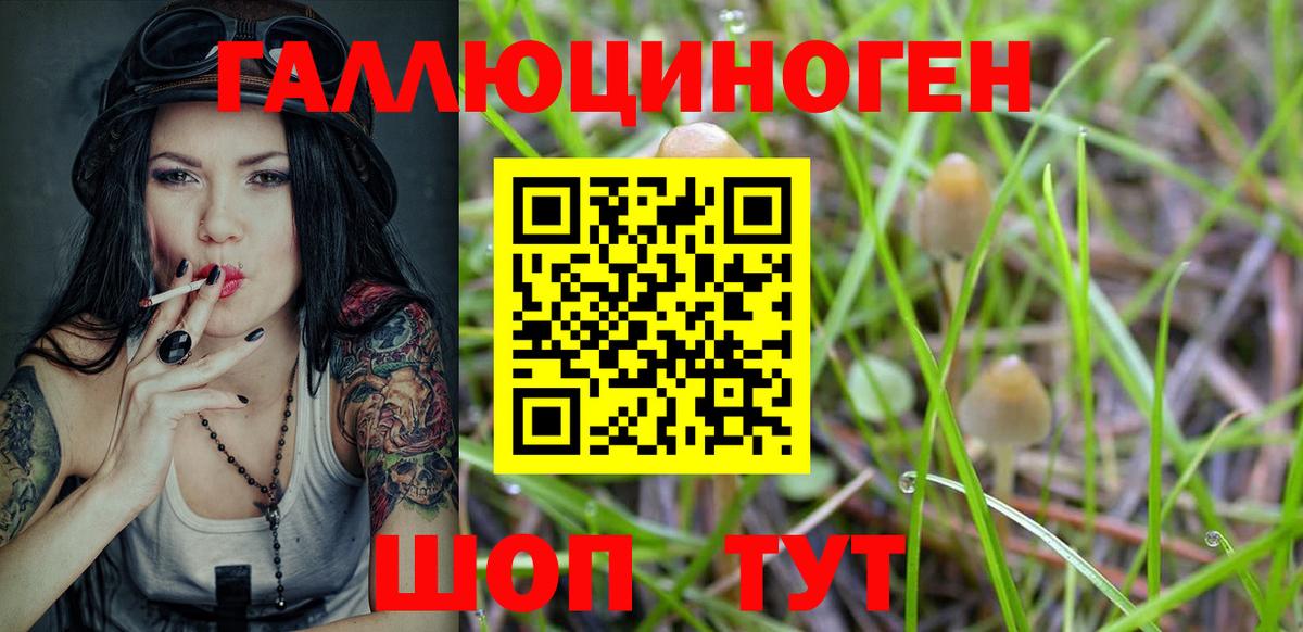 Псилоцибиновые грибы Magic Shrooms  Галлюциногенные грибы прущие грибы  Гатчина 