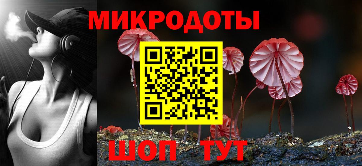Галлюциногенные грибы MAGIC MUSHROOMS Гатчина