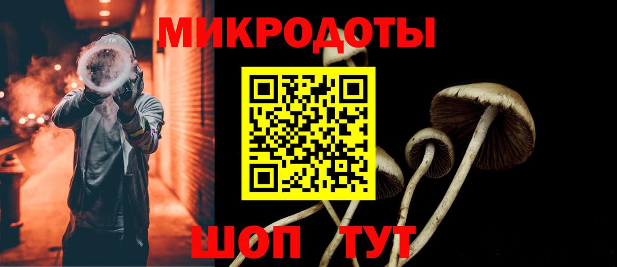 Псилоцибиновые грибы ЛСД  Вход с VPN  Гатчина 